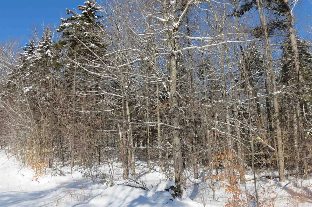 00 Chapman Road Ludlow VT 05149
