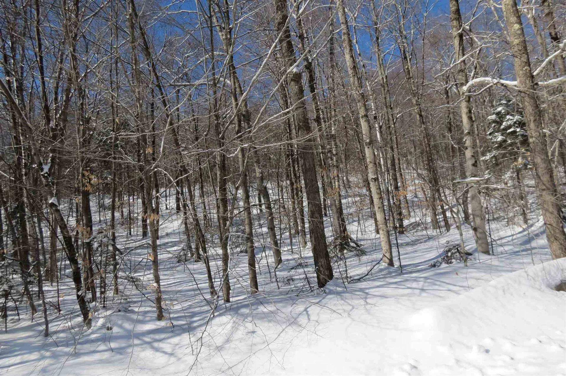 00 Chapman Road Ludlow VT 05149
