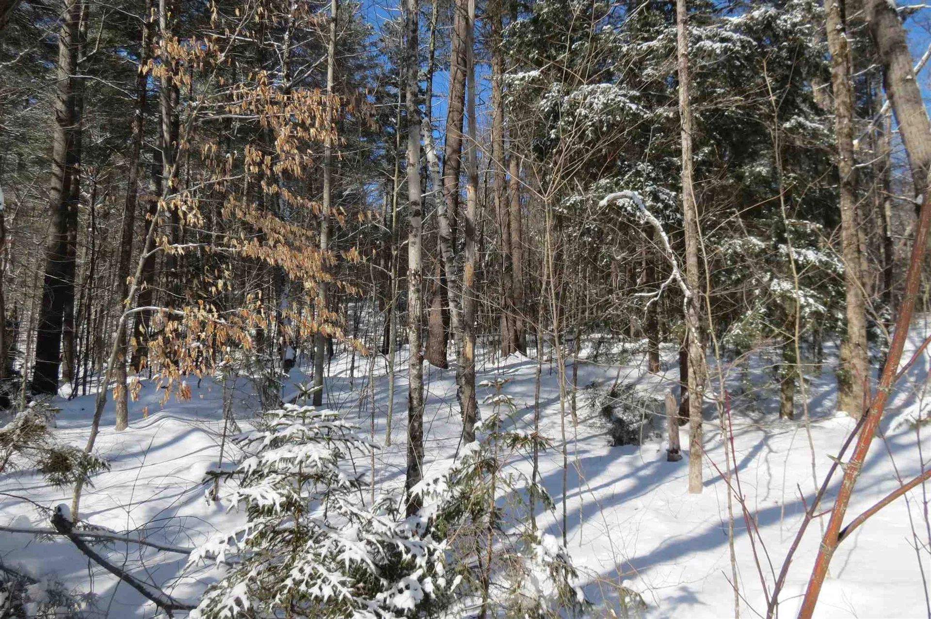 00 Chapman Road Ludlow VT 05149