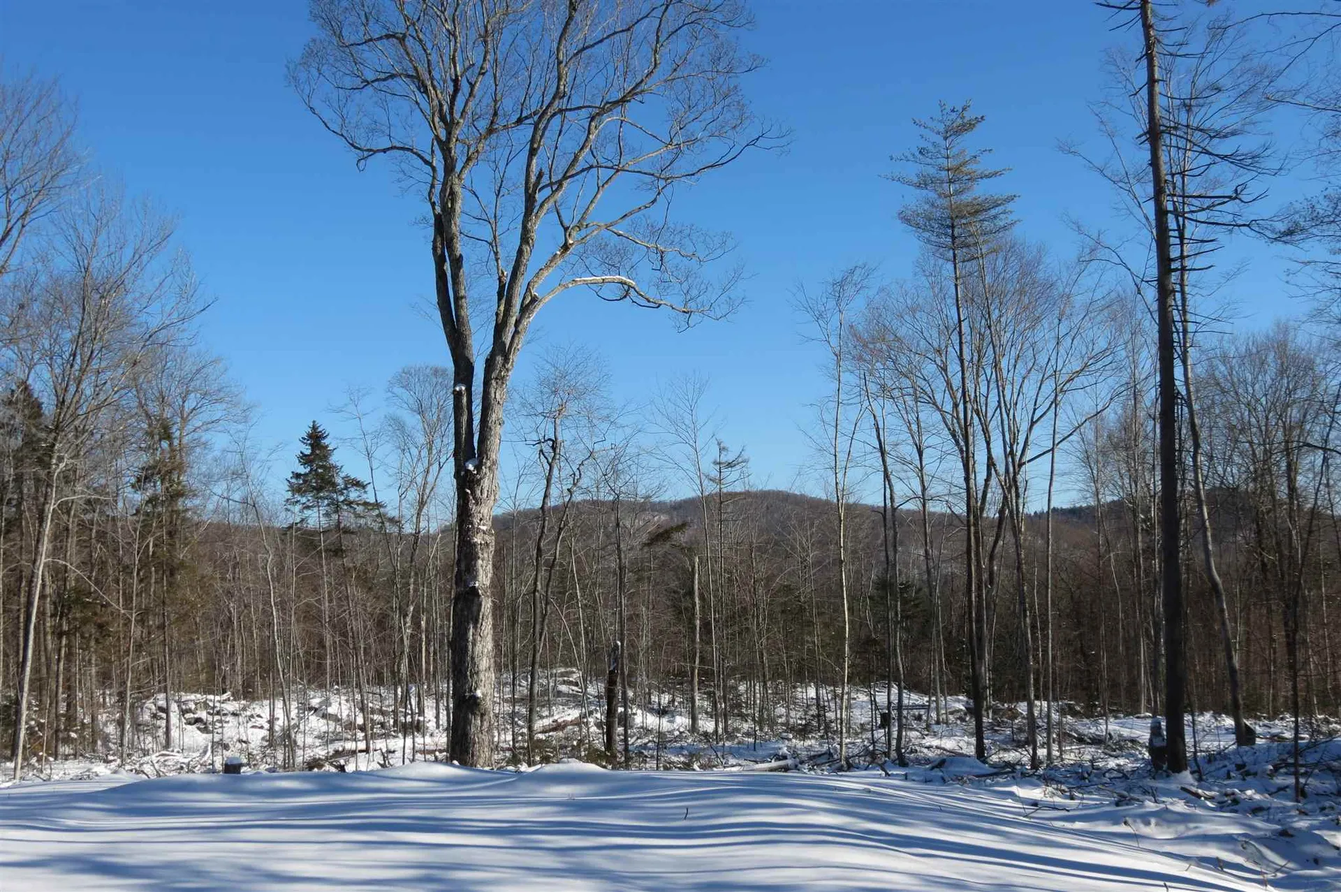 00 Chapman Road Ludlow VT 05149