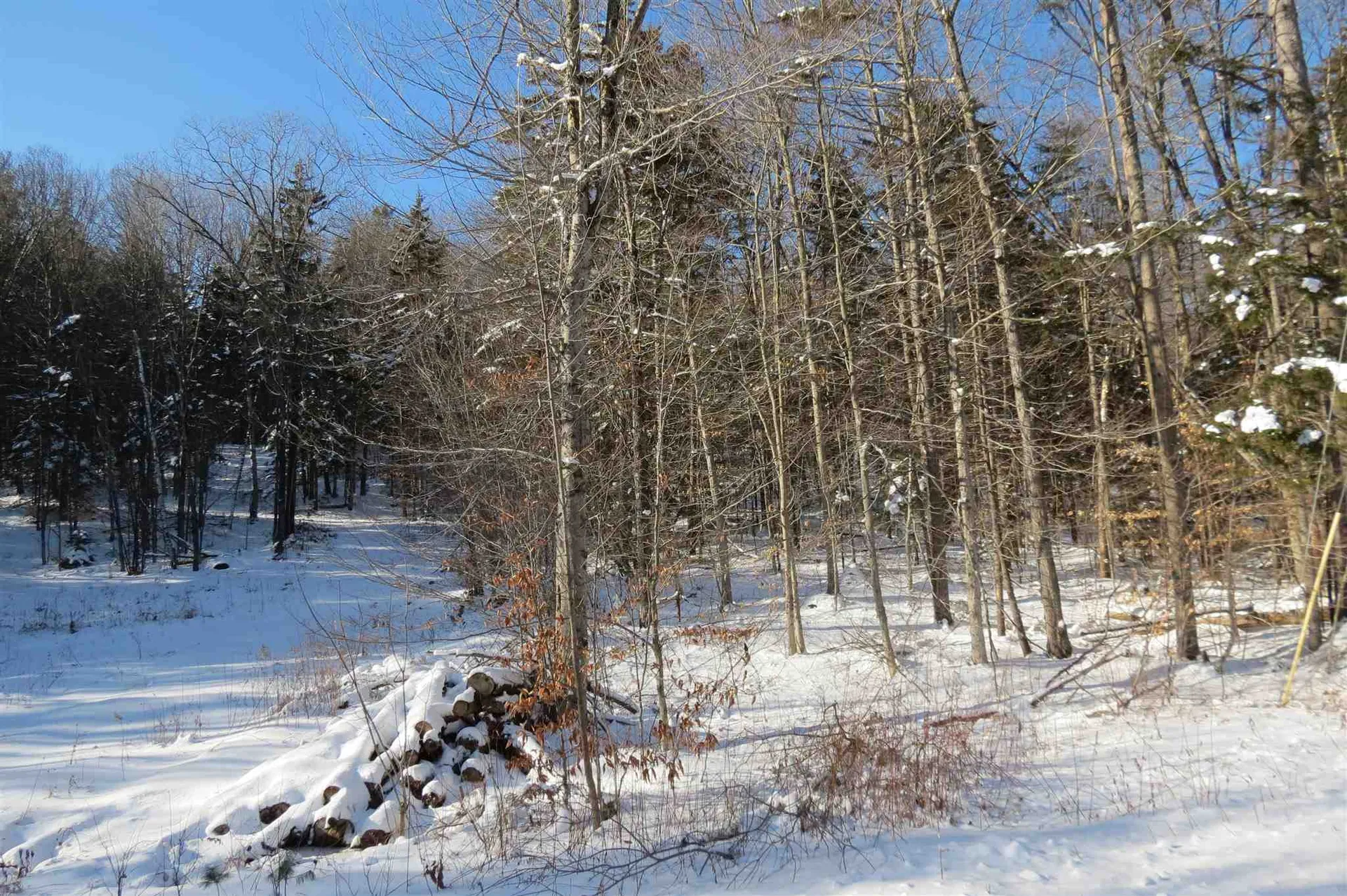 00 Chapman Road Ludlow VT 05149