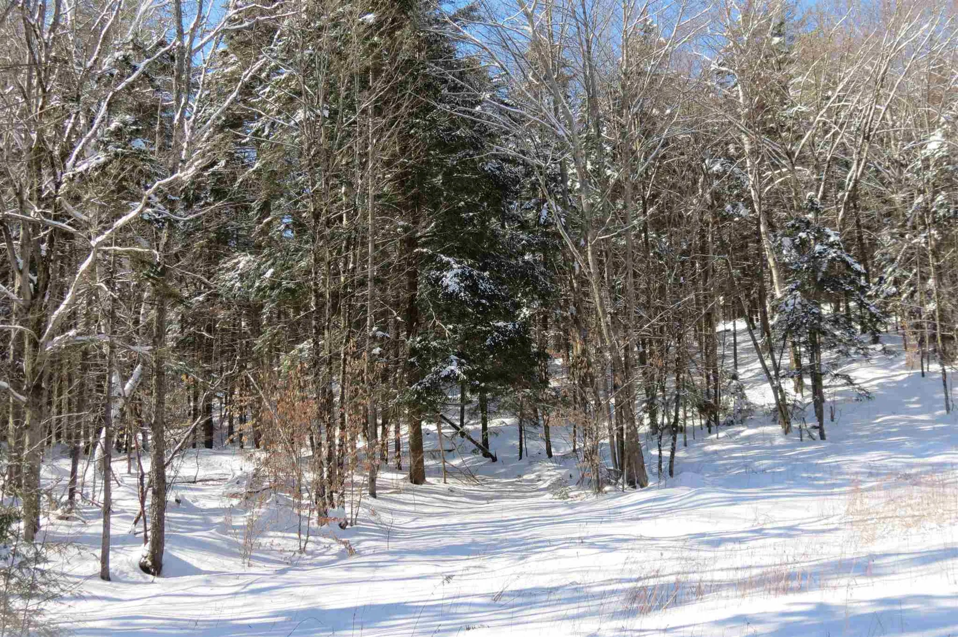 00 Chapman Road Ludlow VT 05149