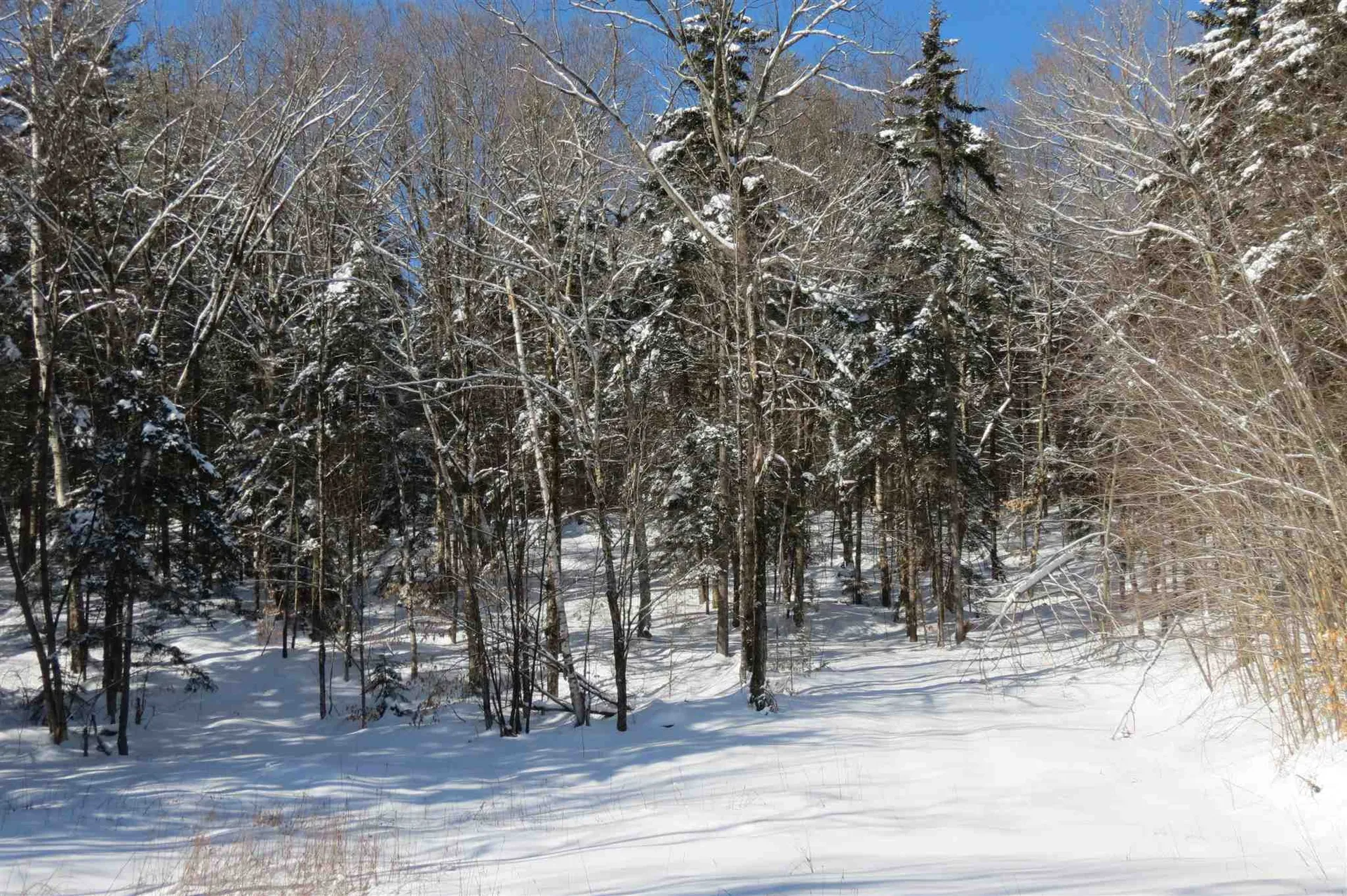 00 Chapman Road Ludlow VT 05149