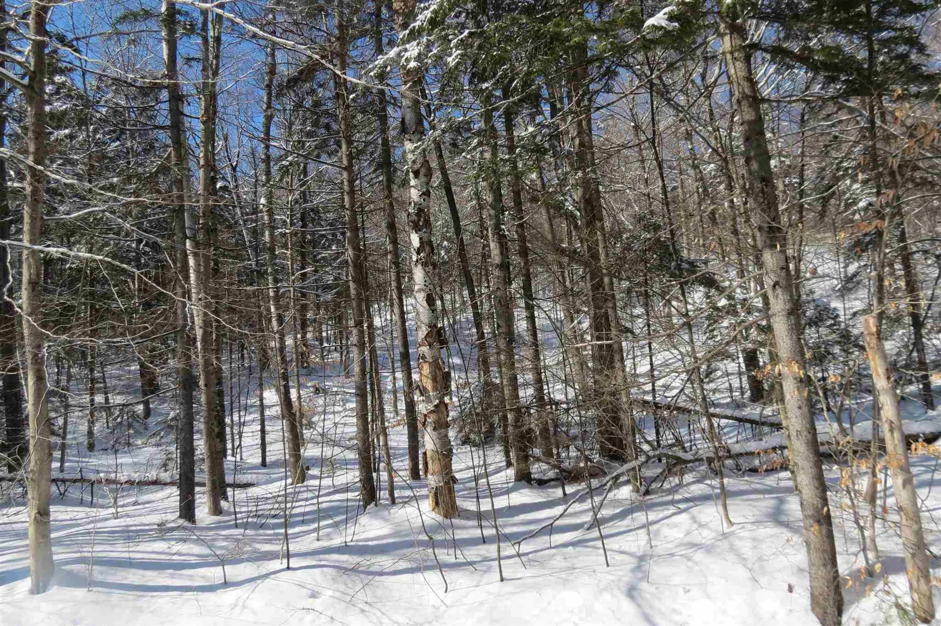 00 Chapman Road Ludlow VT 05149