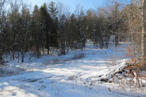 00 Chapman Road Ludlow VT 05149