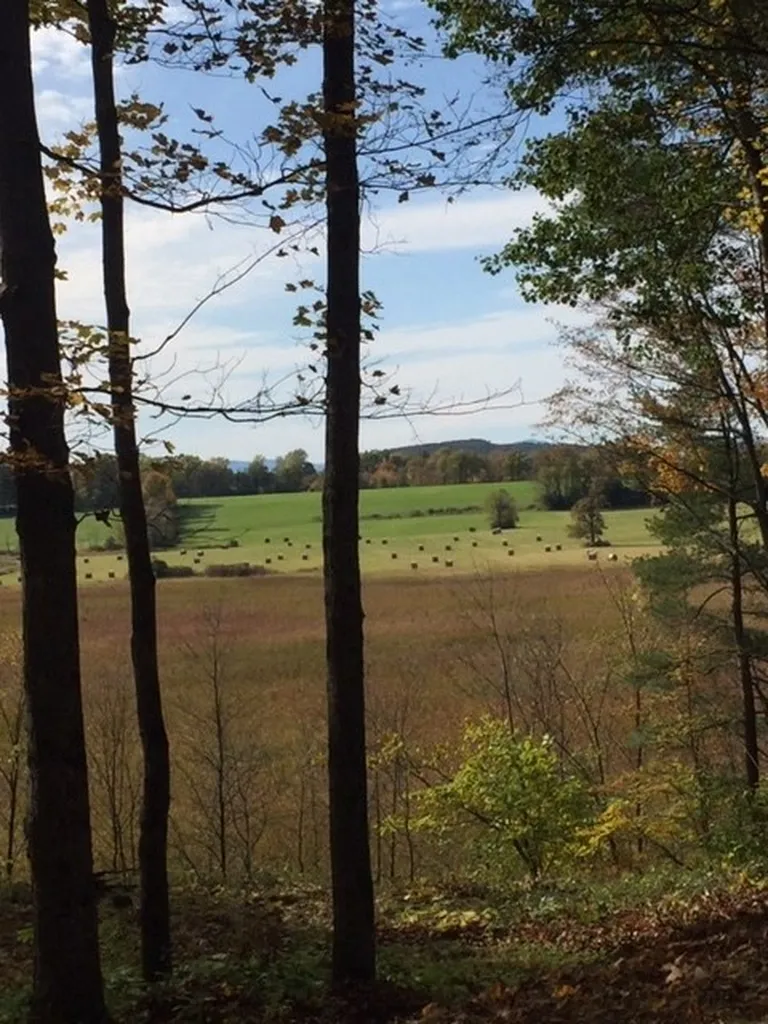 962 Bean Road Charlotte VT 05445