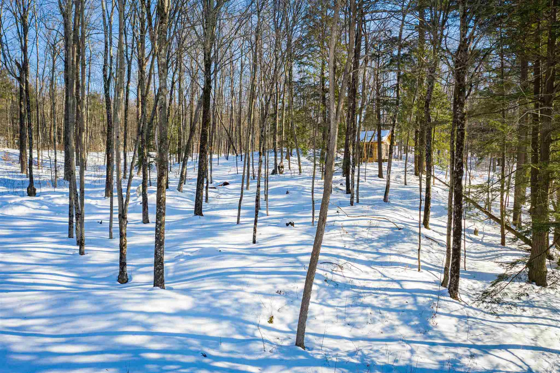 962 Bean Road Charlotte VT 05445