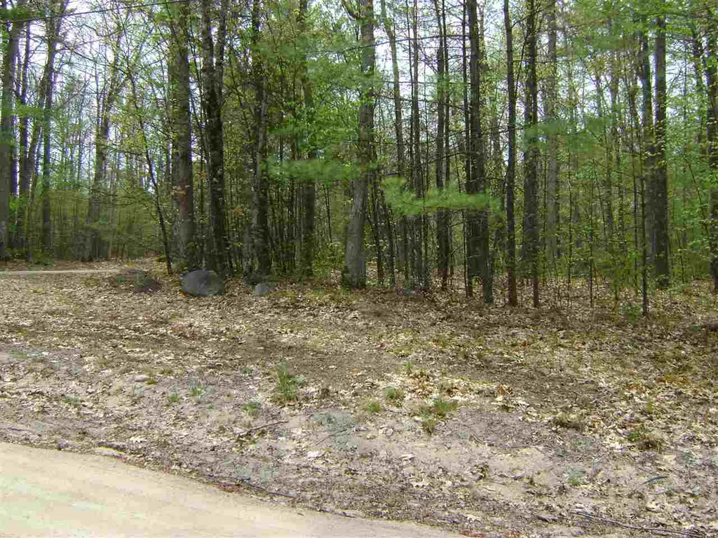 00 Wintersport Street Moultonborough NH 03254