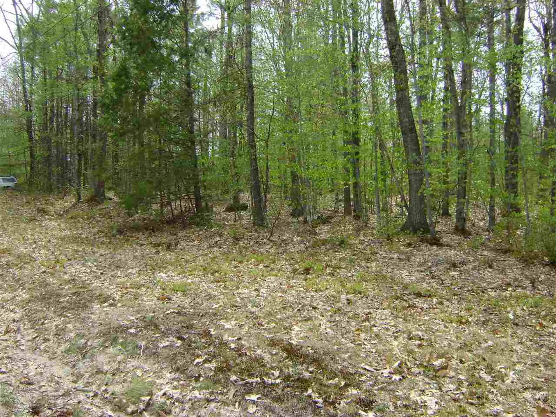 00 Wintersport Street Moultonborough NH 03254