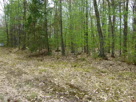 00 Wintersport Street Moultonborough NH 03254