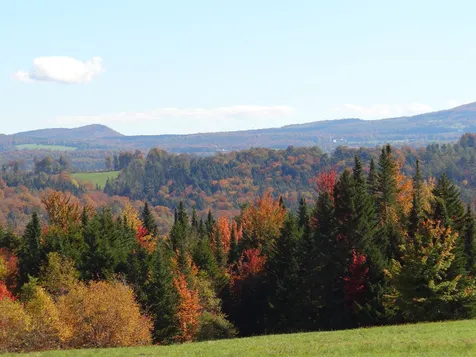 338 Coburn Hill Road Craftsbury VT 05826