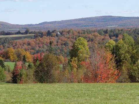 338 Coburn Hill Road Craftsbury VT 05826