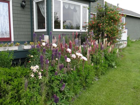 338 Coburn Hill Road Craftsbury VT 05826