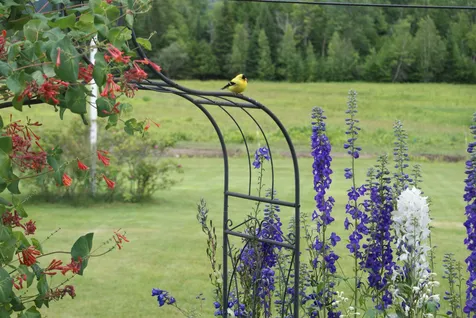338 Coburn Hill Road Craftsbury VT 05826