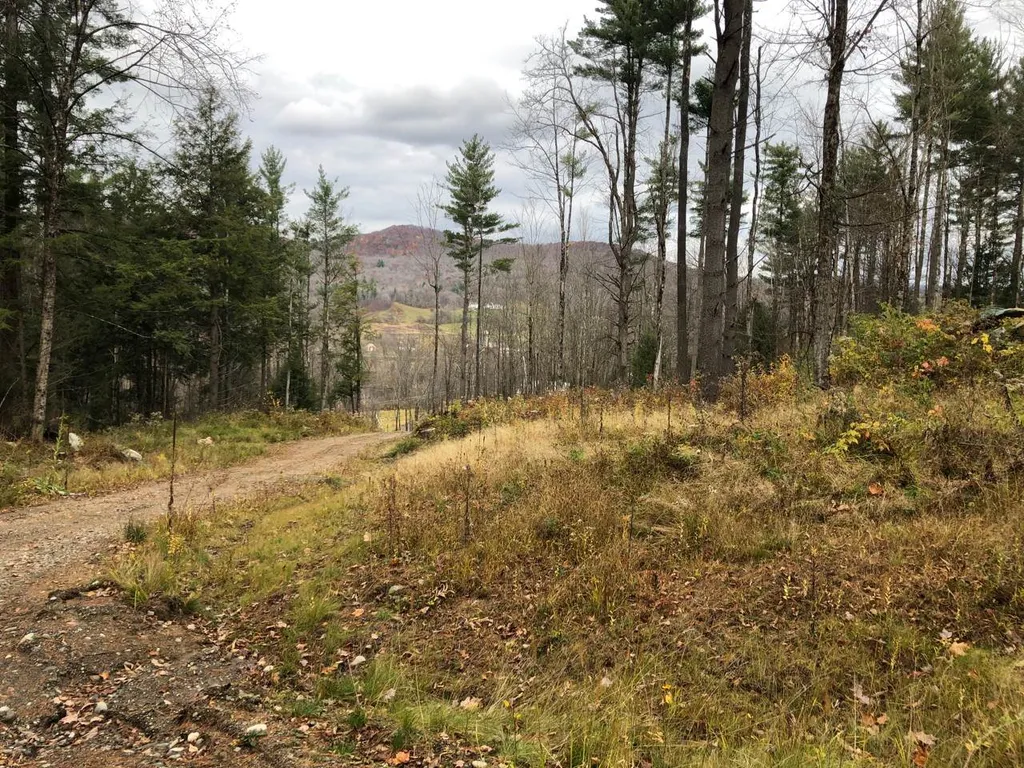 1074 Williamson Road Cambridge VT 05444