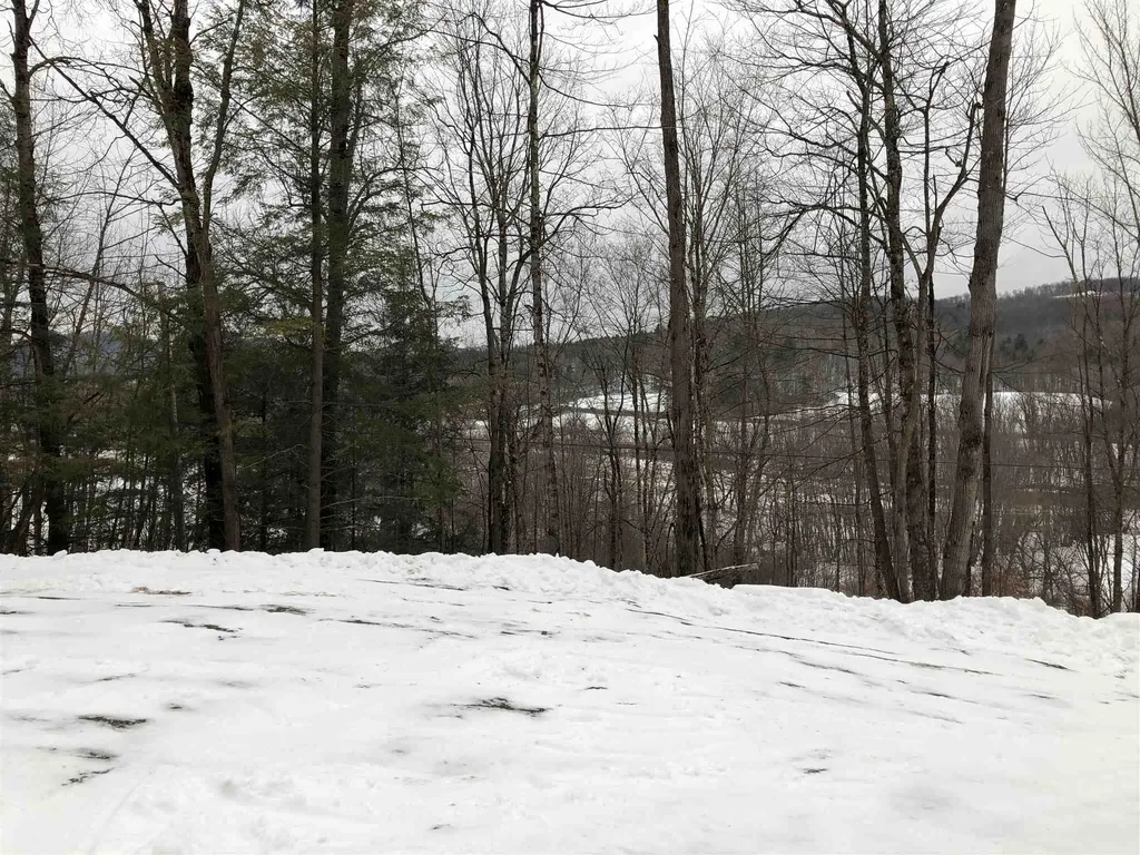 1074 Williamson Road Cambridge VT 05444