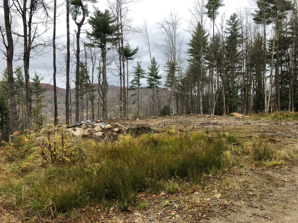 1074 Williamson Road Cambridge VT 05444