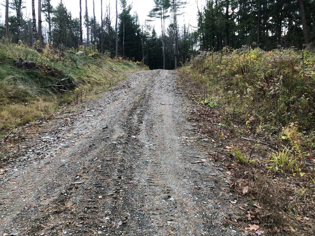 1074 Williamson Road Cambridge VT 05444