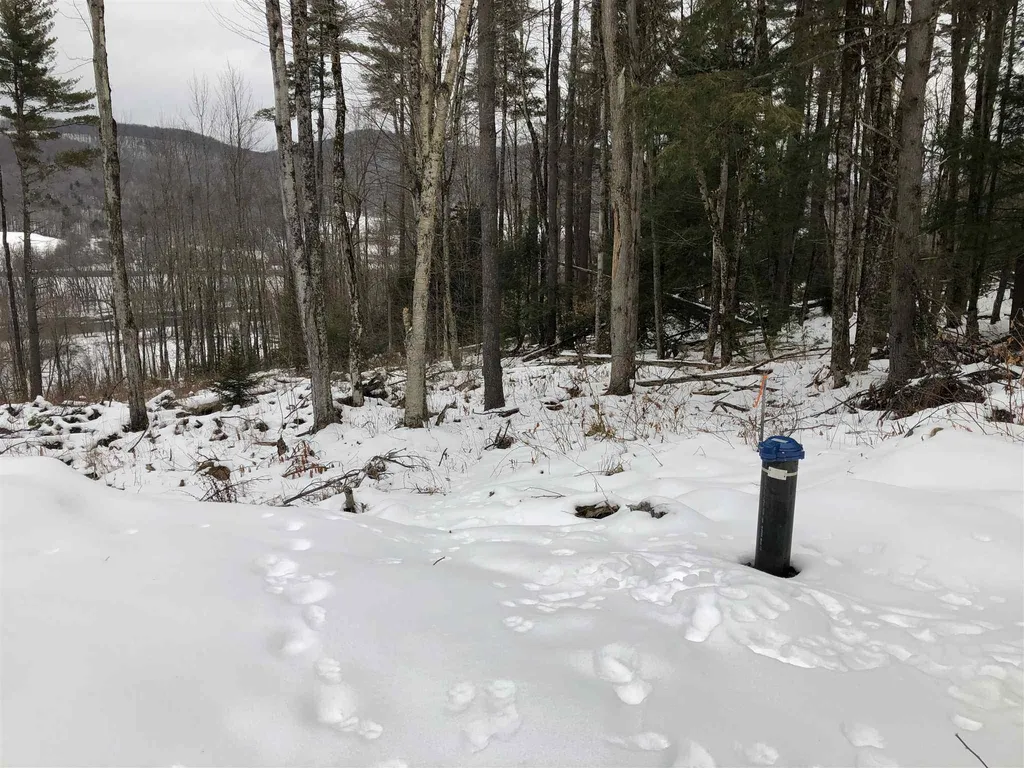 1074 Williamson Road Cambridge VT 05444