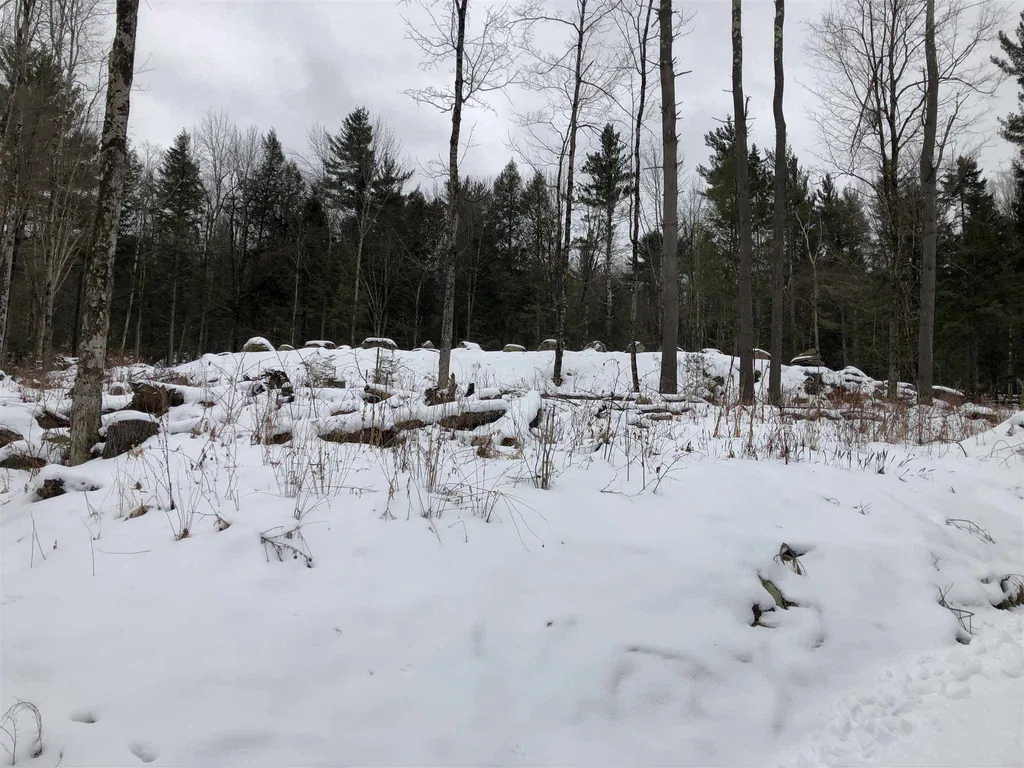 1074 Williamson Road Cambridge VT 05444