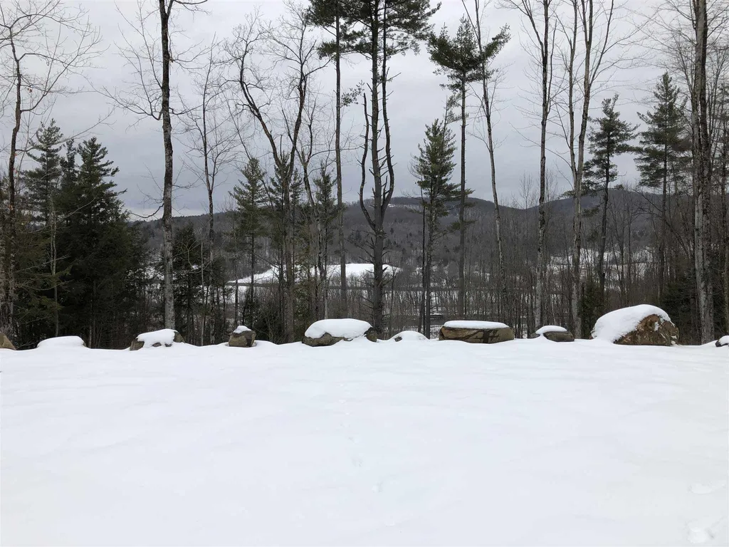 1074 Williamson Road Cambridge VT 05444