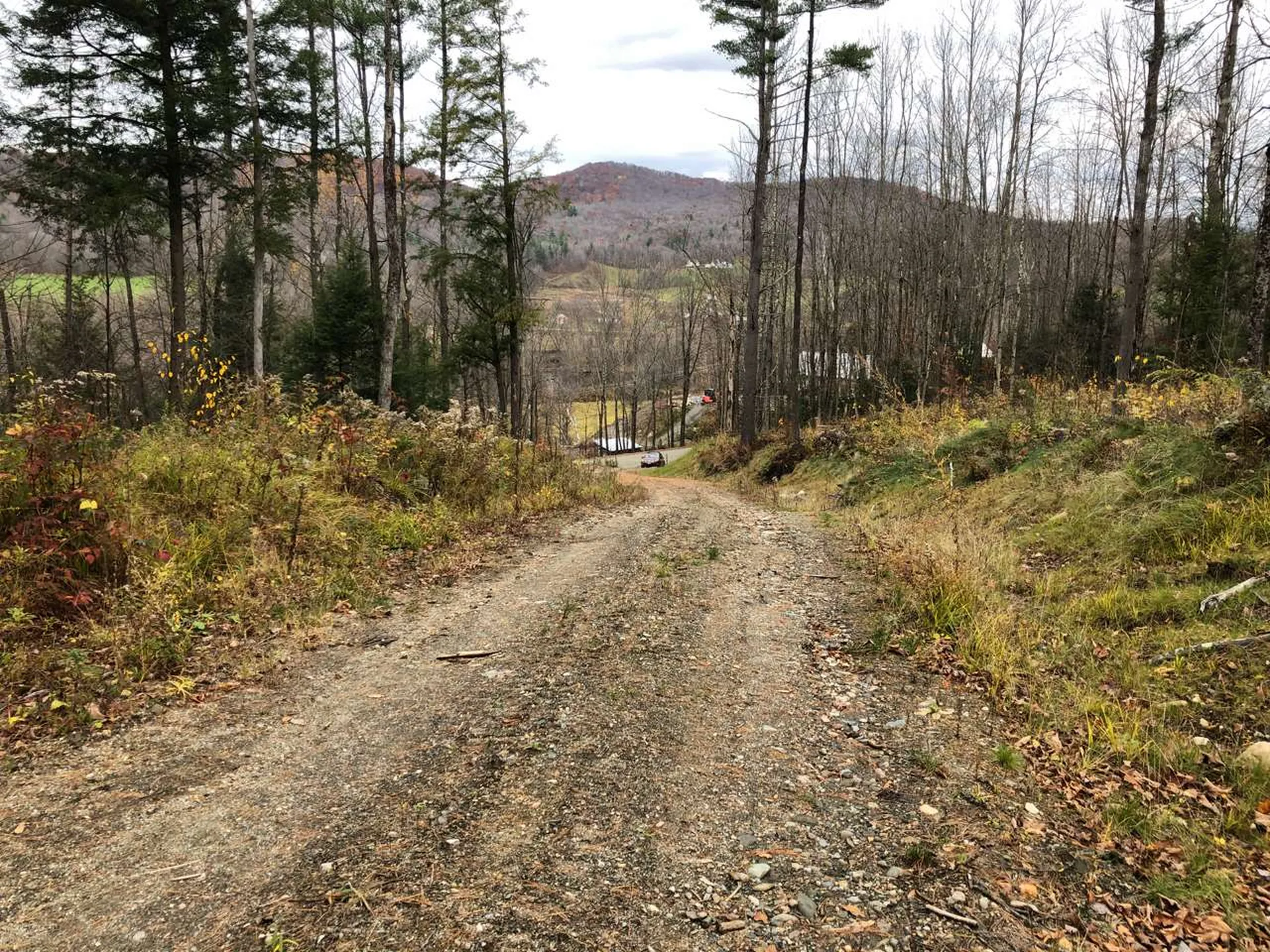 1074 Williamson Road Cambridge VT 05444