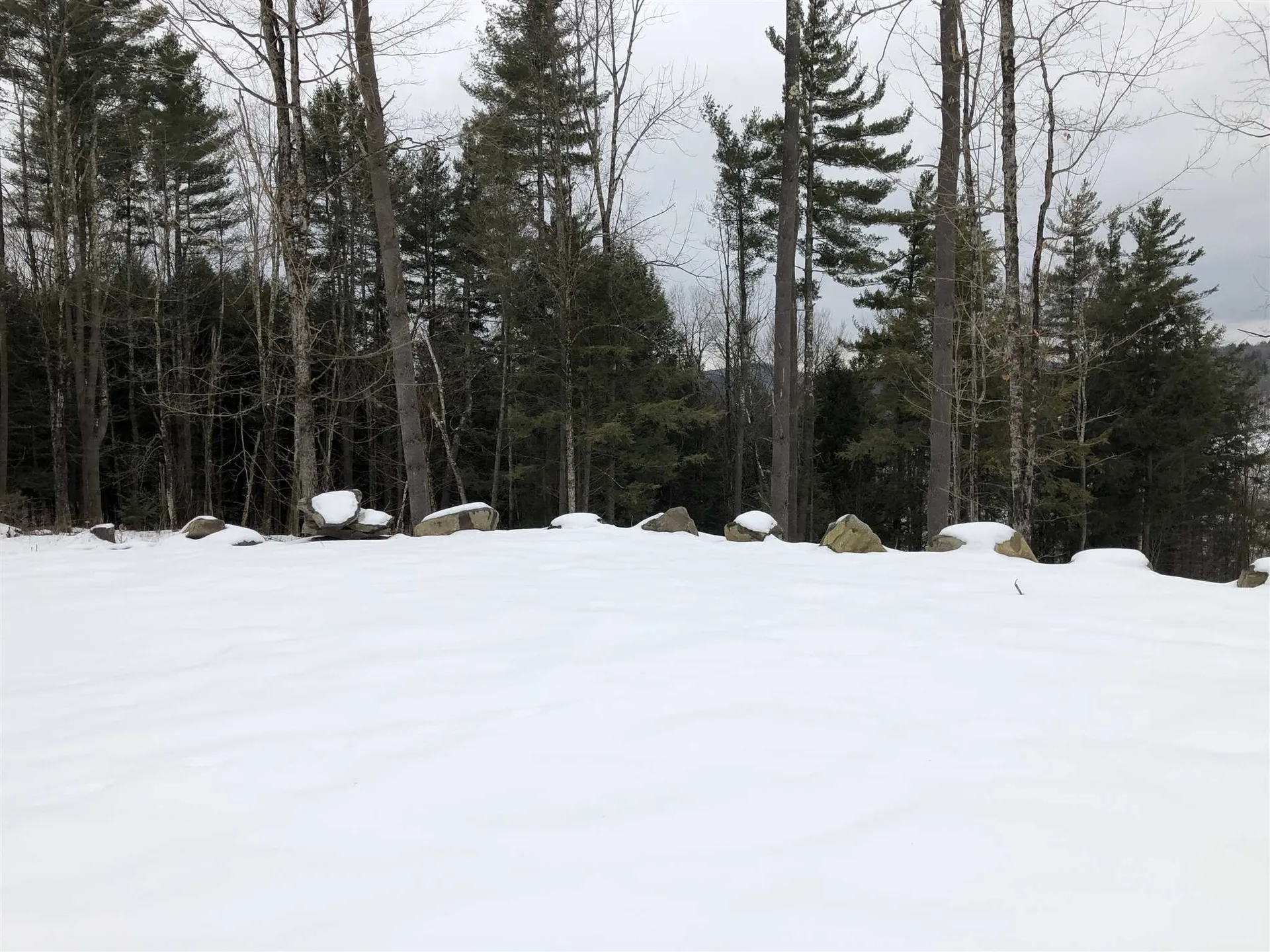 1074 Williamson Road Cambridge VT 05444