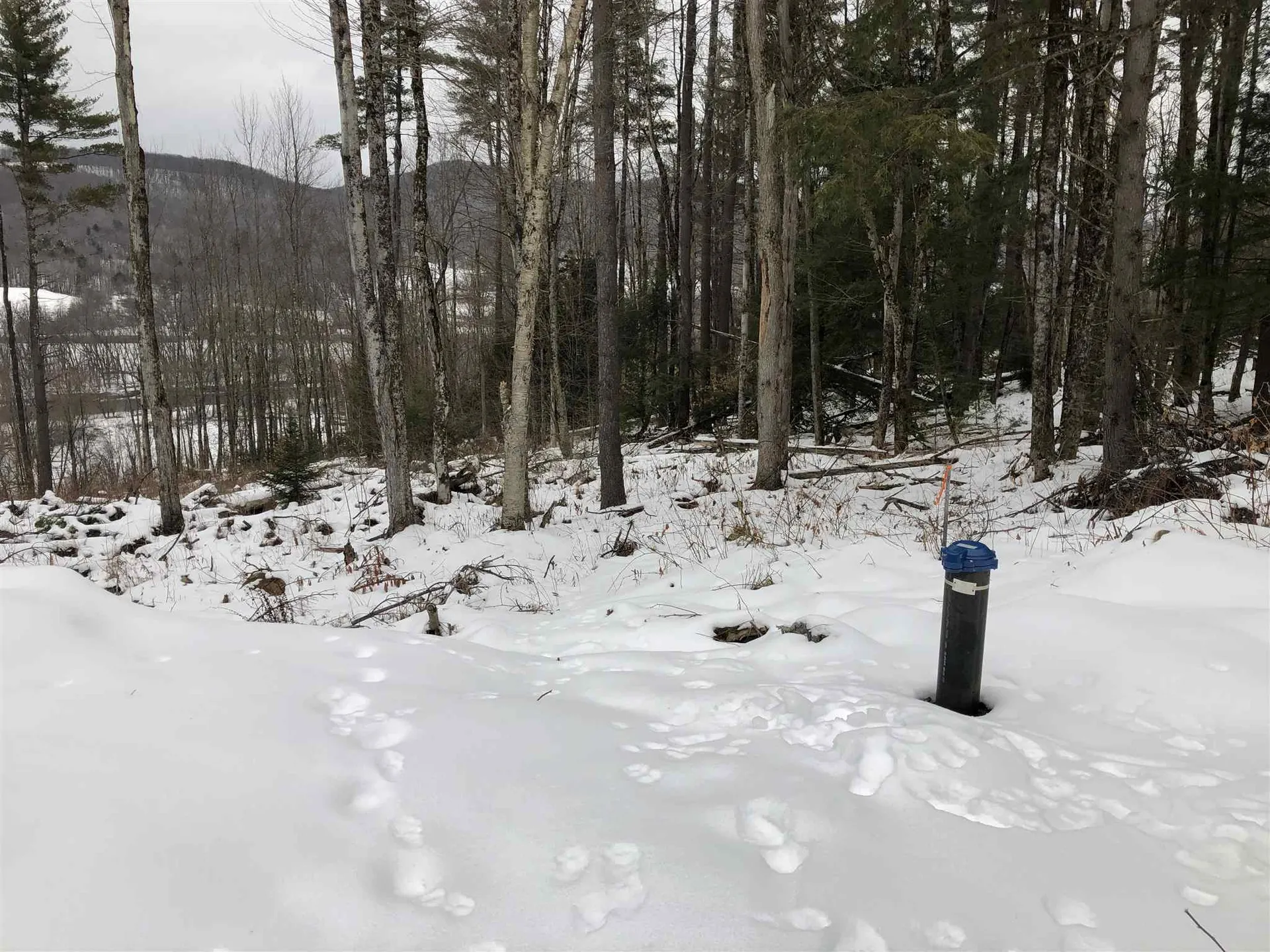 1074 Williamson Road Cambridge VT 05444