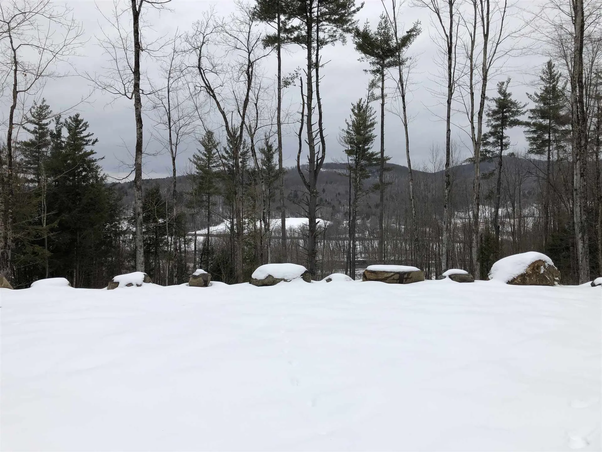 1074 Williamson Road Cambridge VT 05444