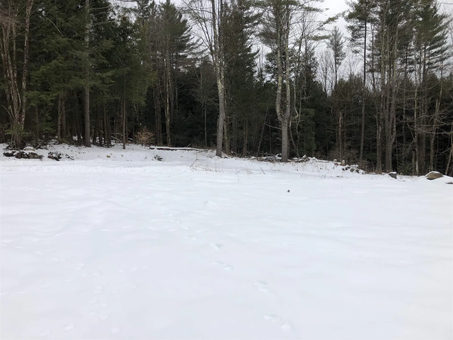 1074 Williamson Road Cambridge VT 05444