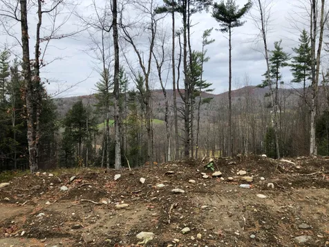 1074 Williamson Road Cambridge VT 05444