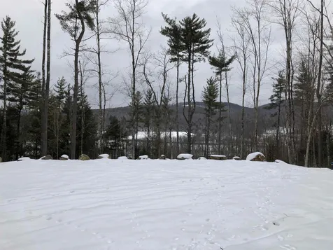 1074 Williamson Road Cambridge VT 05444