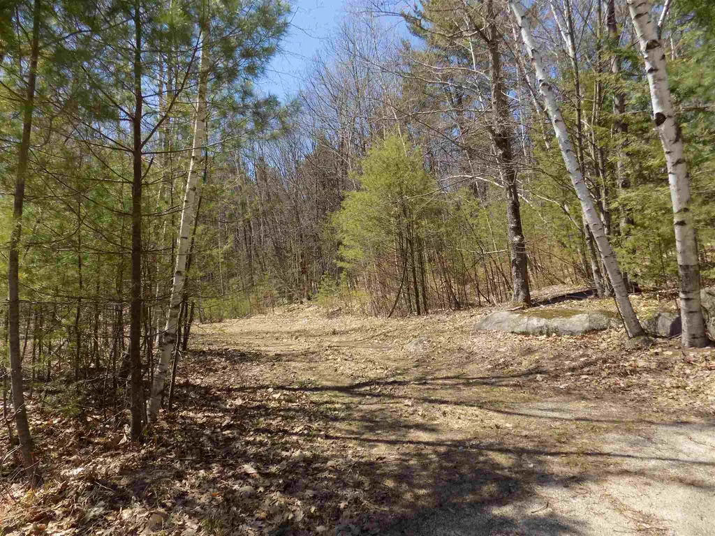 12 Easy Avenue Albany NH 03818