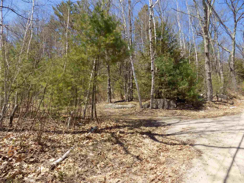 12 Easy Avenue Albany NH 03818