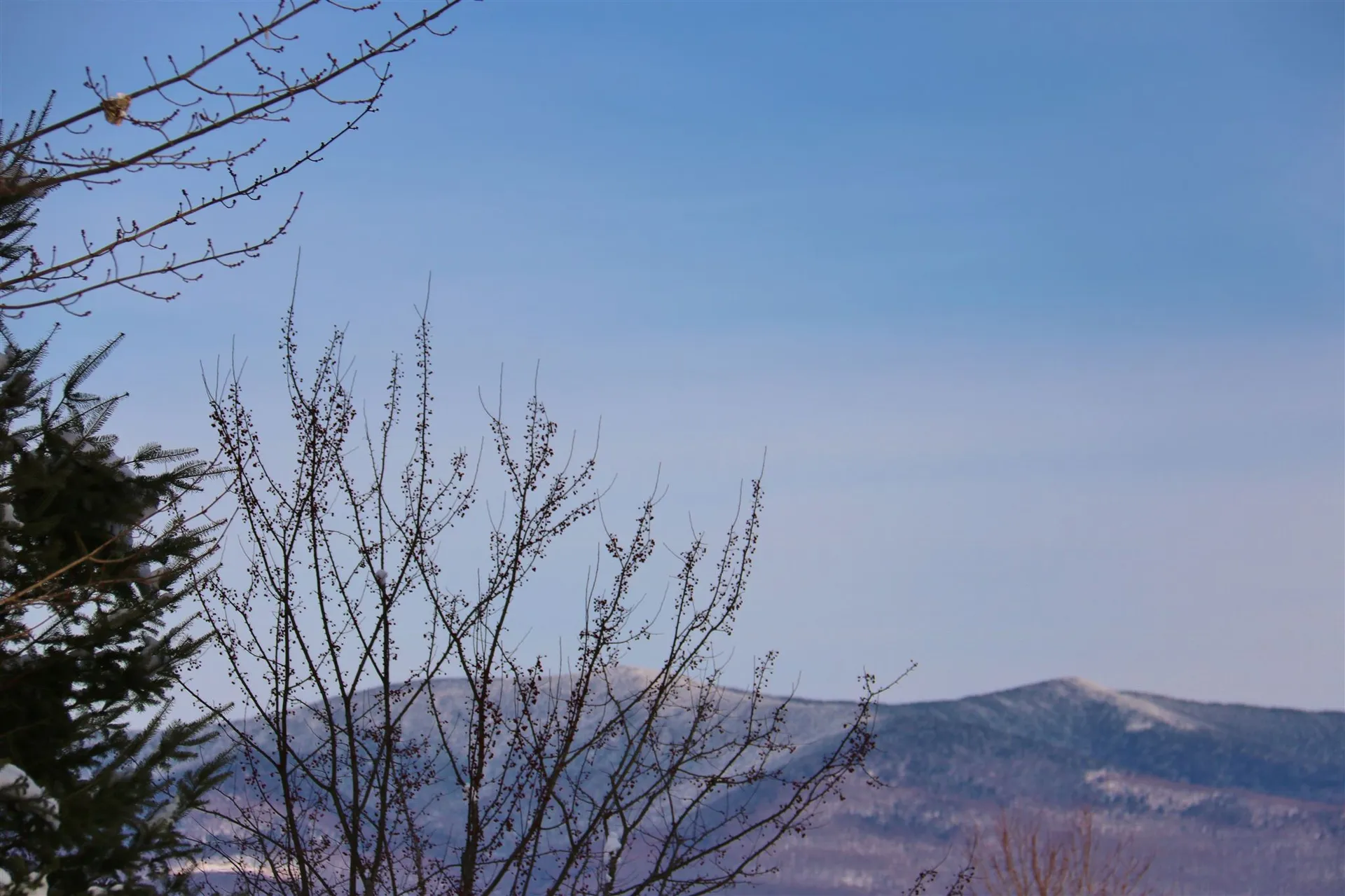Lot 29 Colby Road Whitefield NH 03598