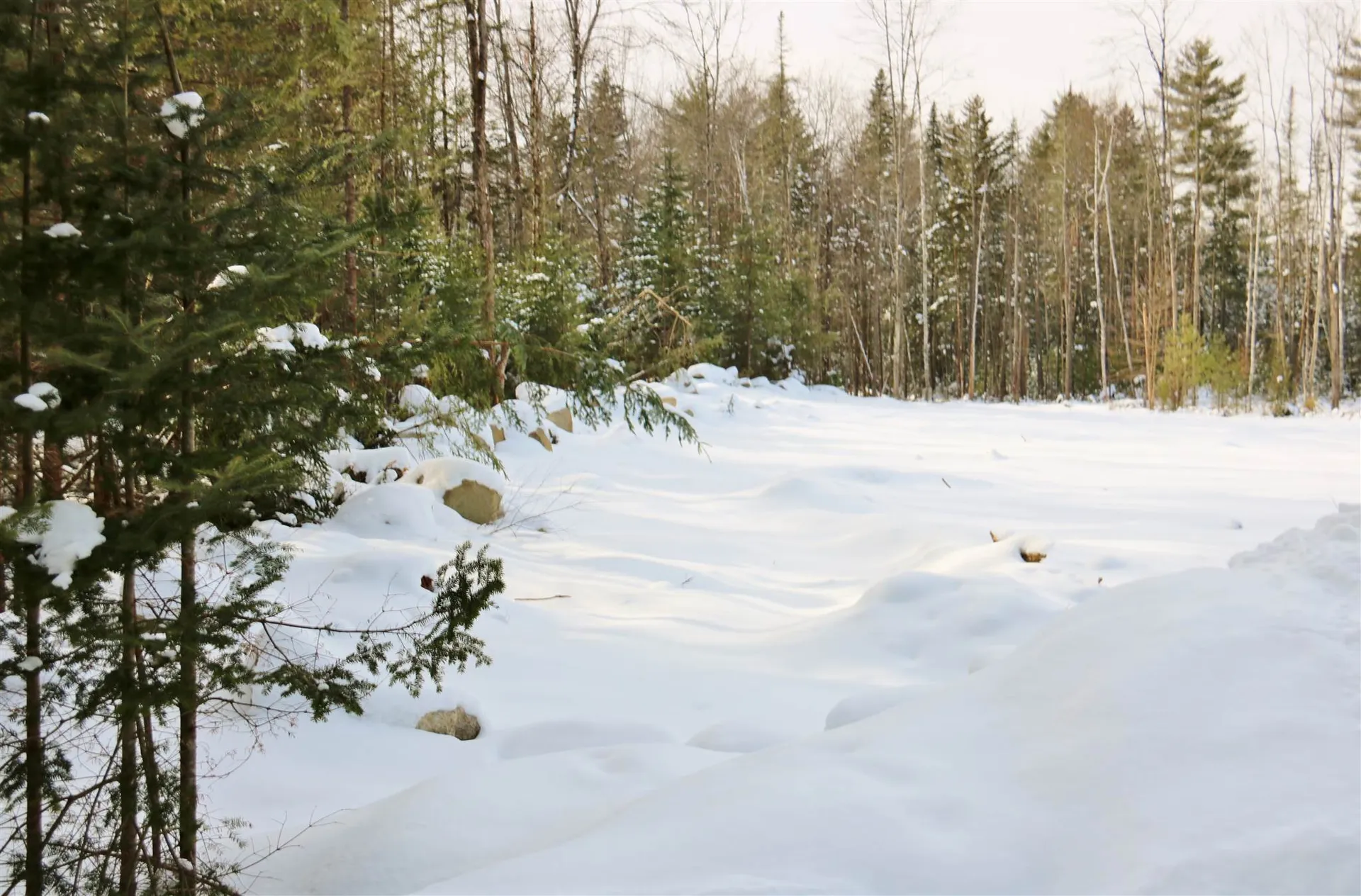 Lot 29 Colby Road Whitefield NH 03598