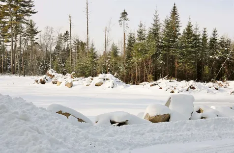 Lot 29 Colby Road Whitefield NH 03598