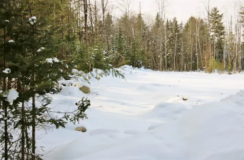 Lot 29 Colby Road Whitefield NH 03598