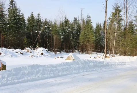 Lot 29 Colby Road Whitefield NH 03598