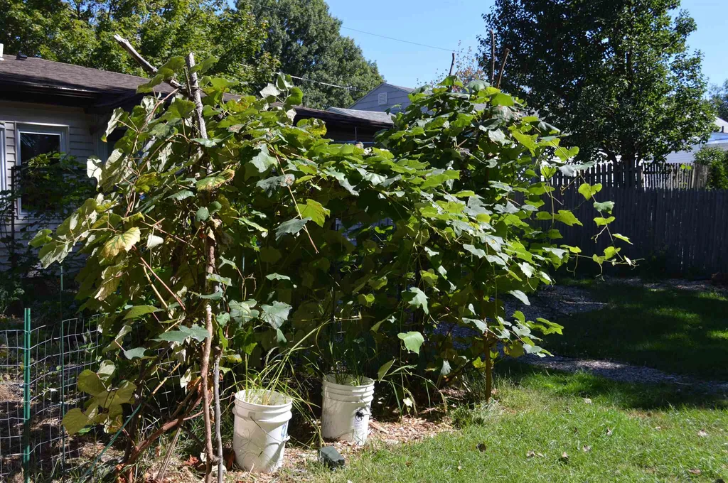 31 Stanbury Road Burlington VT 05408