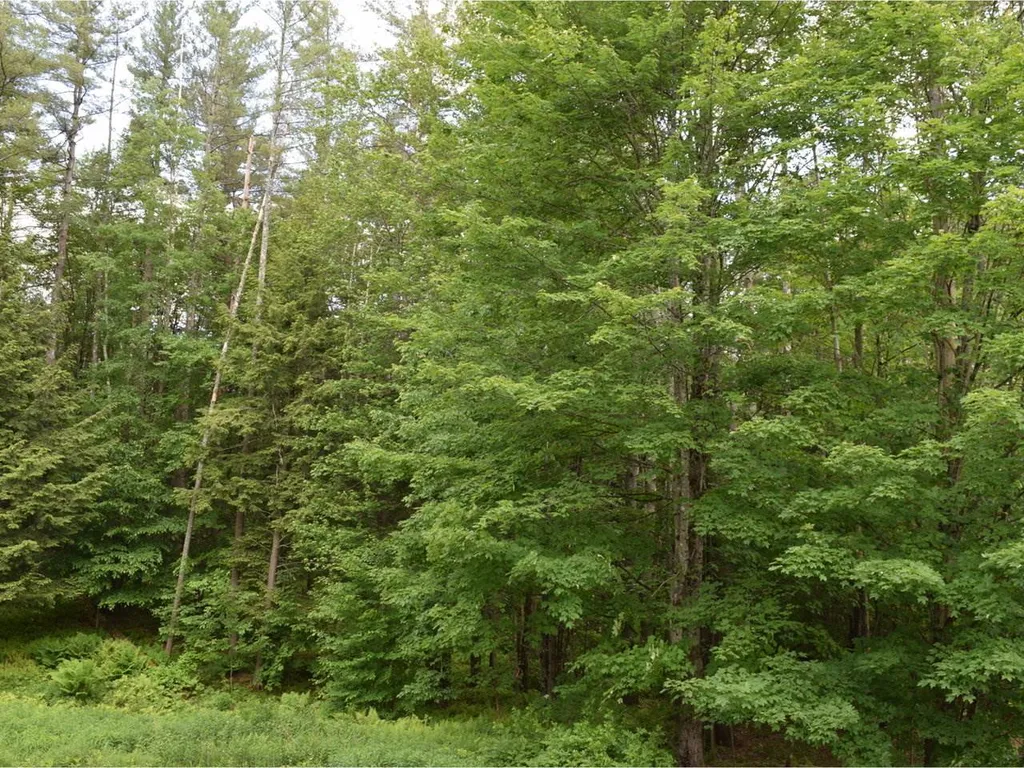 73 Ashford Lane Waterbury VT 05676