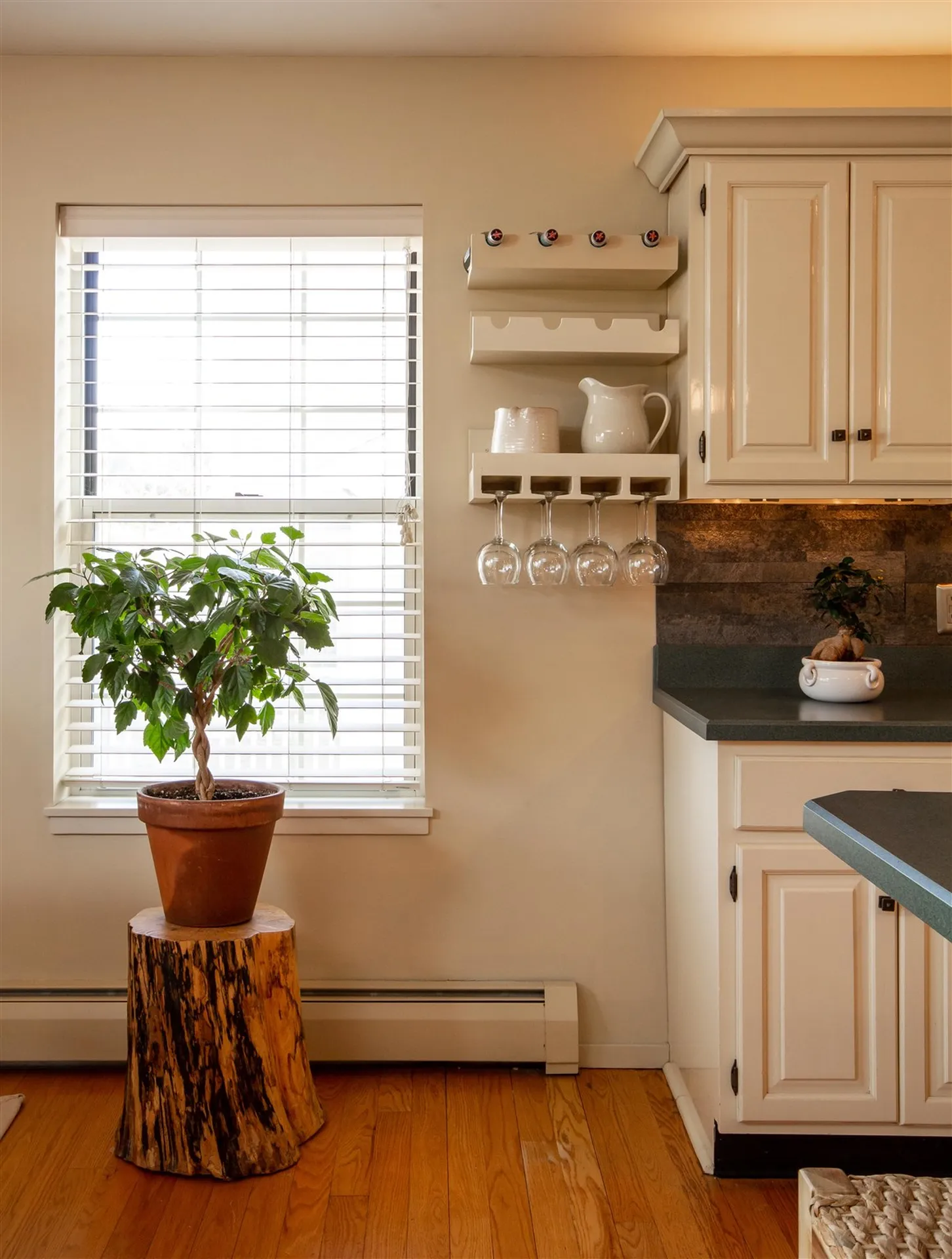 10 Bluestar Lane South Burlington VT 05403