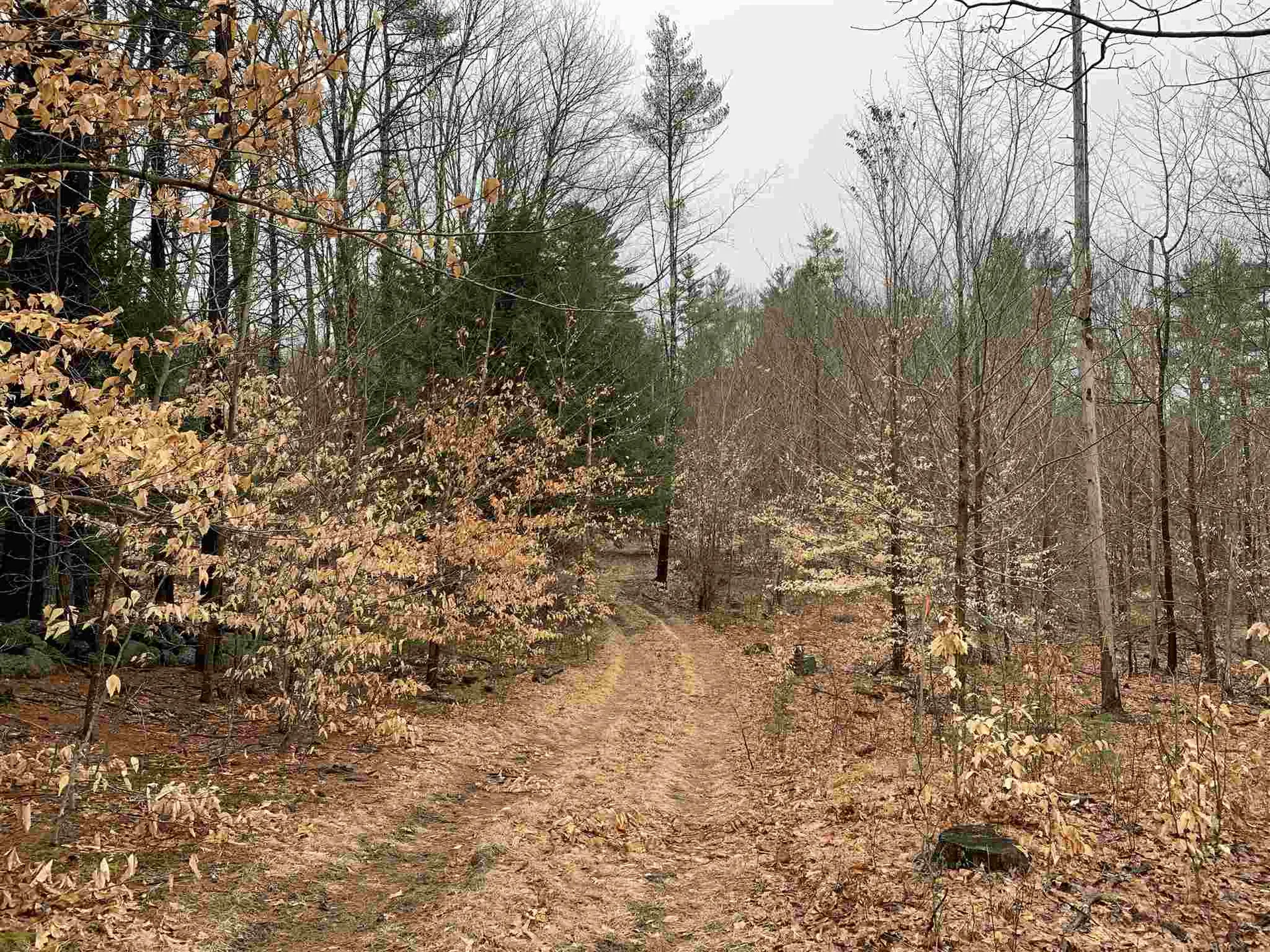 548 Old Greenfield Road Peterborough NH 03458