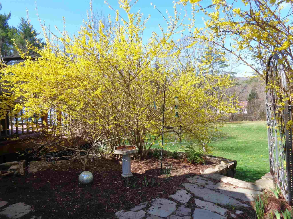272 Murray Hill Road Hill NH 03243