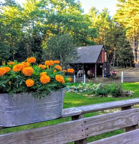 24 Forest Drive Belmont NH 03220