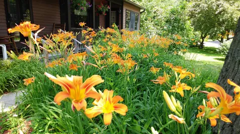 123 Joey Drive Colchester VT 05446