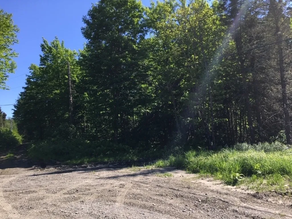 00 Mcallaster Road Stewartstown NH 03576