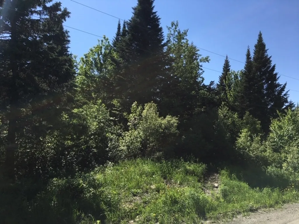 00 Mcallaster Road Stewartstown NH 03576