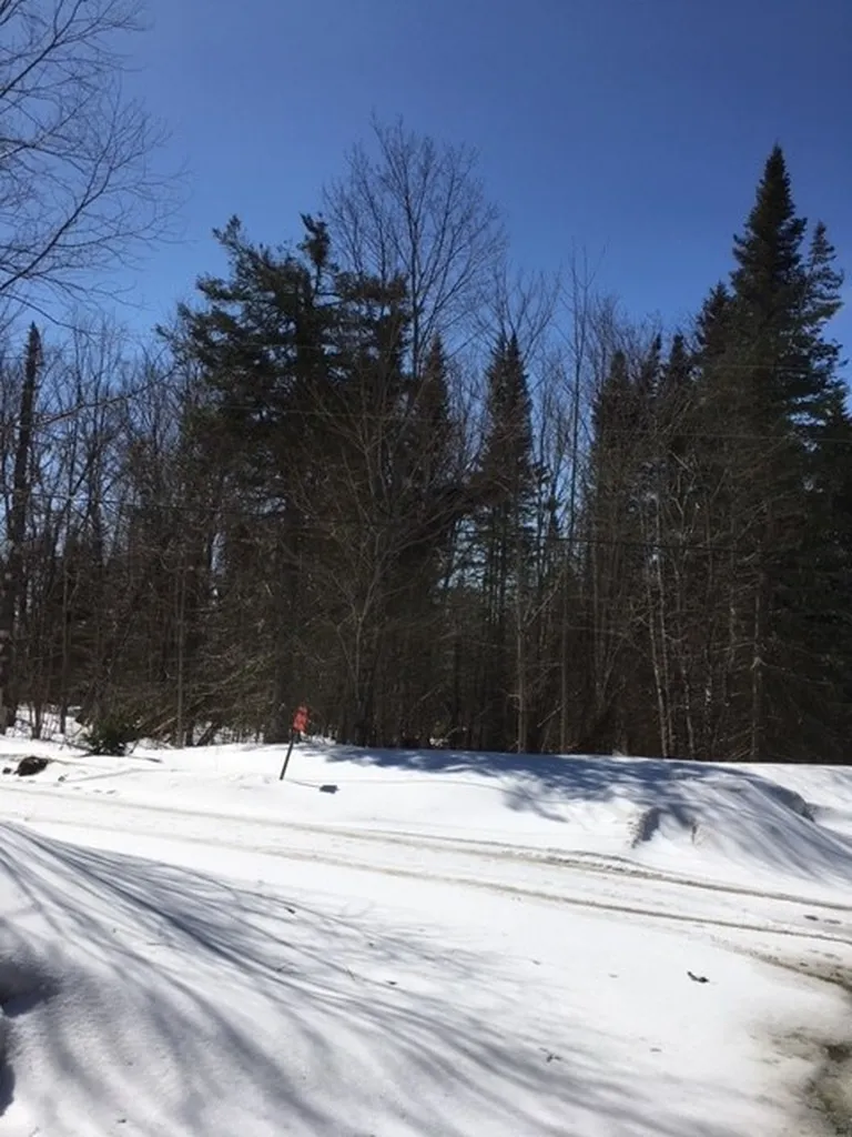 00 Mcallaster Road Stewartstown NH 03576