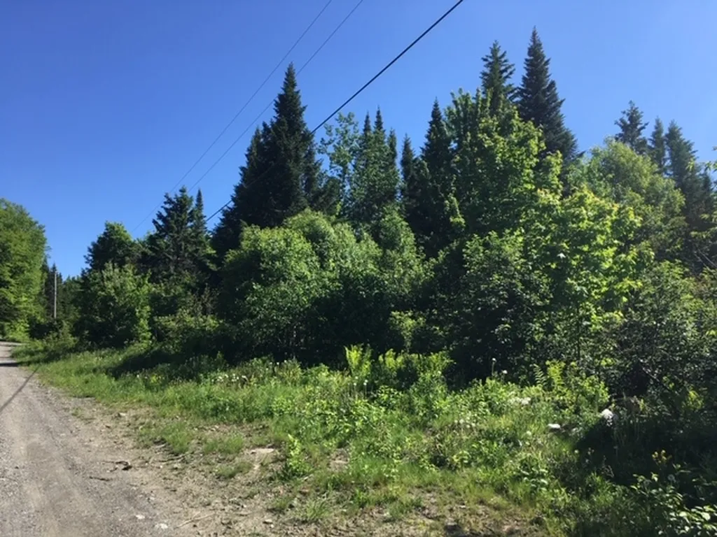 00 Mcallaster Road Stewartstown NH 03576